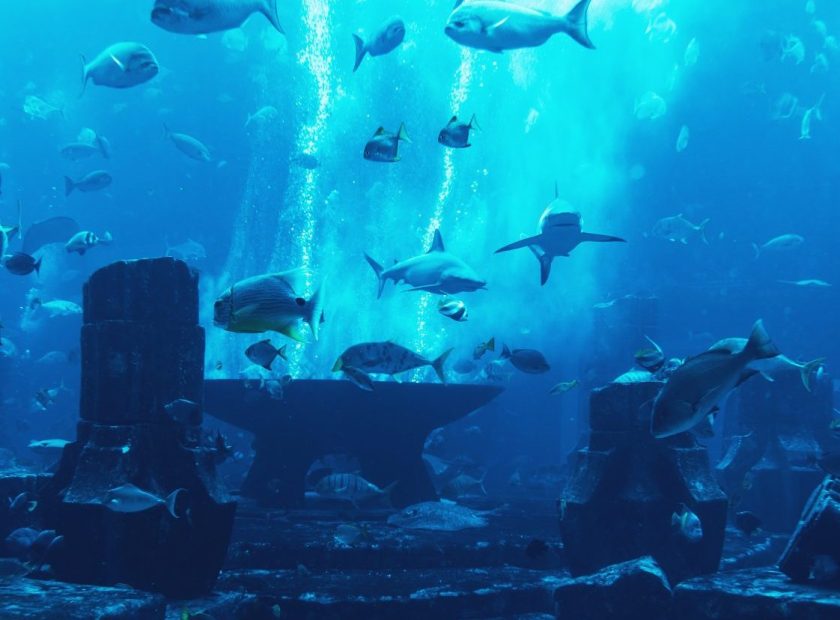 La leggenda di Atlantide