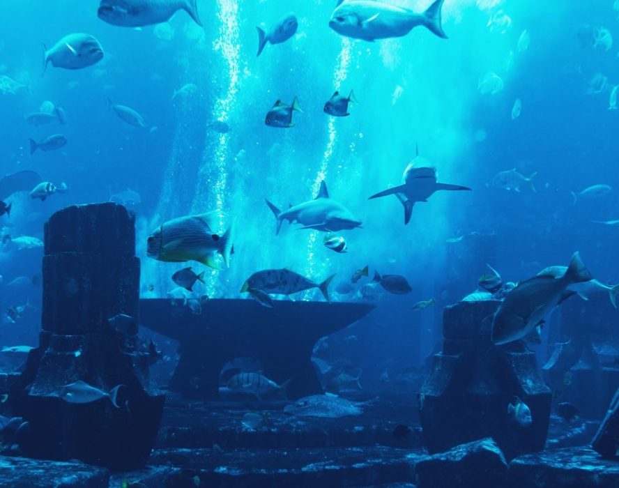 La leggenda di Atlantide
