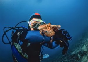 Il Polpo e l'uomo