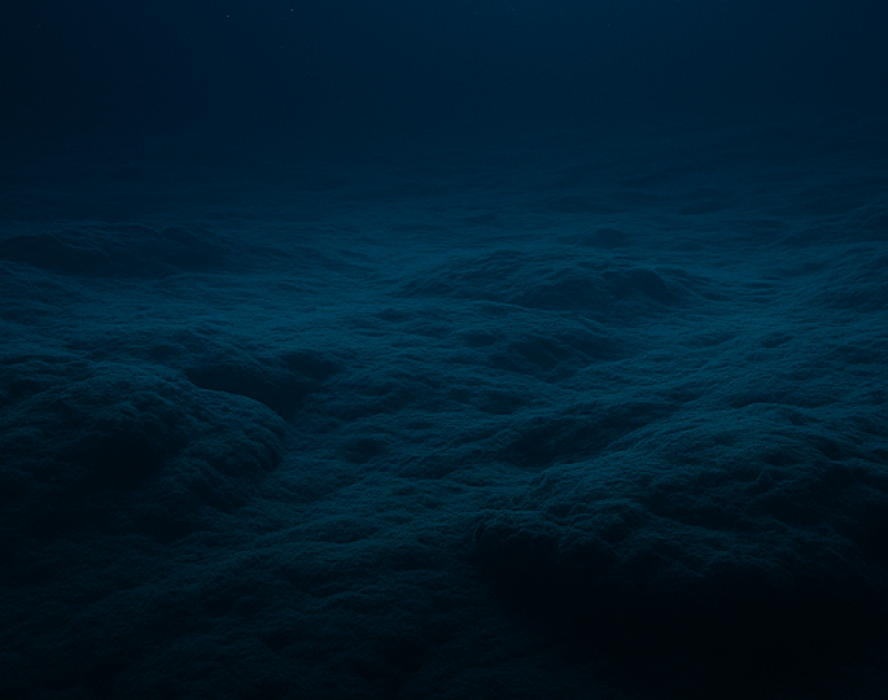 Oceano inesplorato