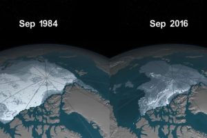 Scioglimento dei ghiacci