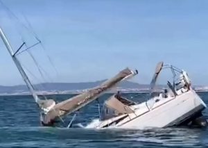 Orca sinking yacht