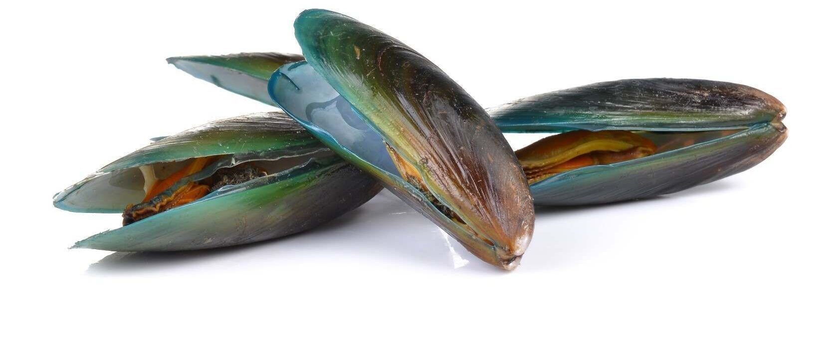 Cozze e mesi con la R