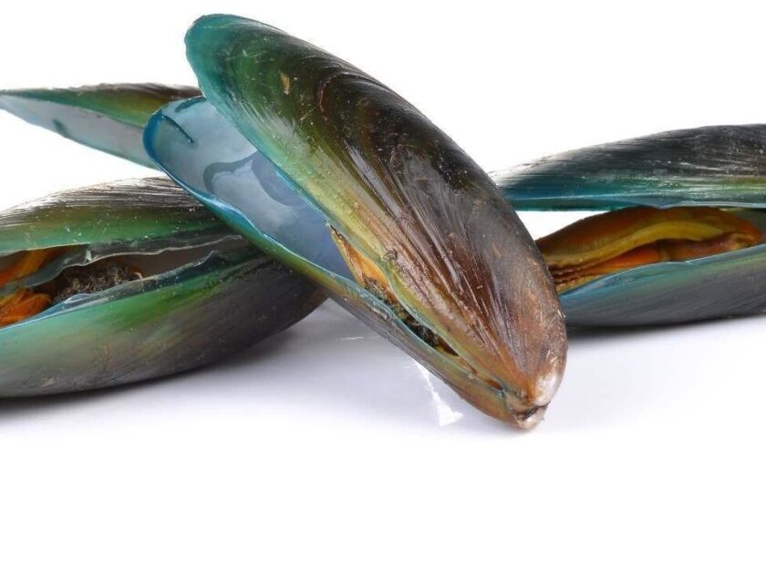 Cozze e mesi con la R