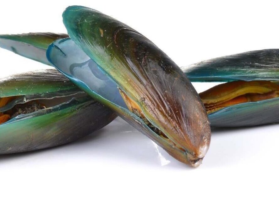 Cozze e mesi con la R