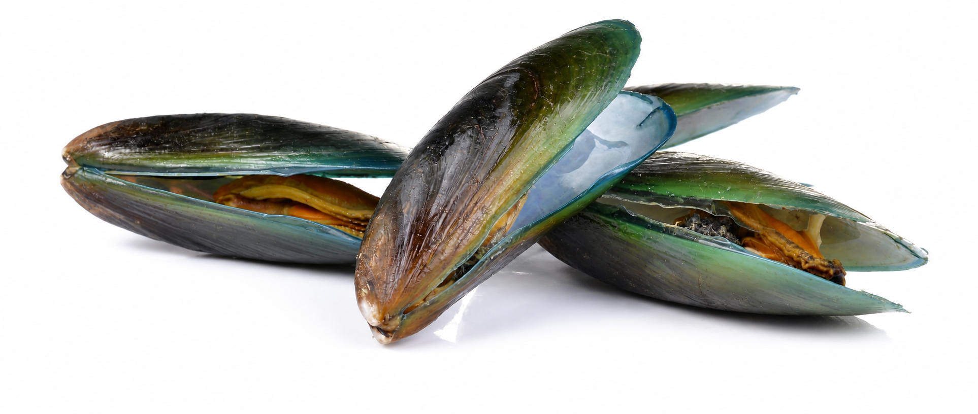 Cozze e mesi con la R