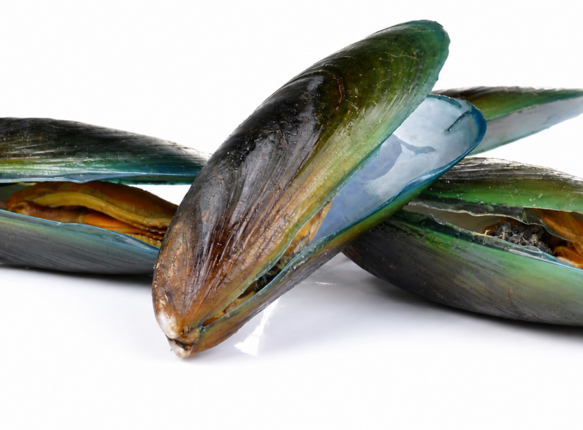 Cozze e mesi con la R