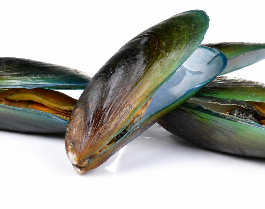 Cozze e mesi con la R
