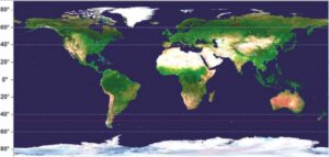 40 ruggenti 50 urlanti