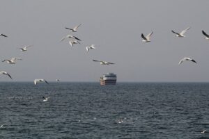 Hormuz crisi petrolifera